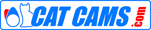 File:Catcams-logo.png