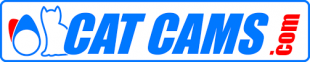 Catcams-logo.png